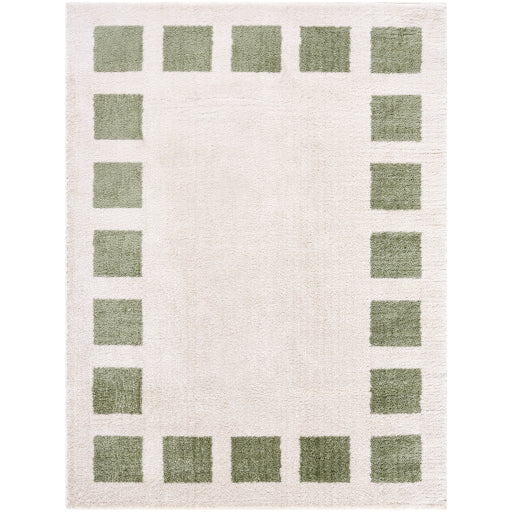 Surya Fossay Shag FSG-2315 Light Beige Modern Machinemade Rug