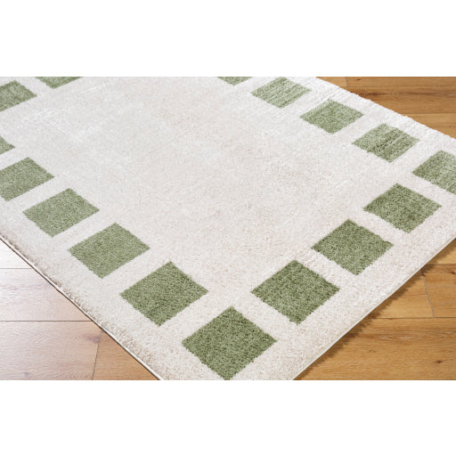 Surya Fossay Shag FSG-2315 Light Beige Modern Machinemade Rug