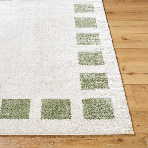 Surya Fossay Shag FSG-2315 Light Beige Modern Machinemade Rug