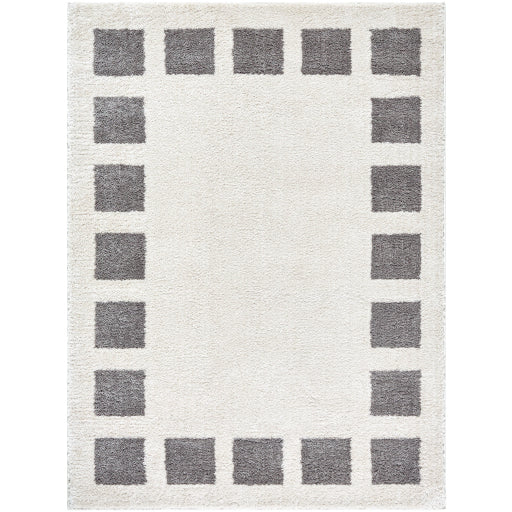 Surya Fossay Shag FSG-2316 Light Beige Modern Machinemade Rug