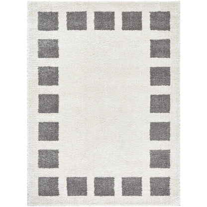 Surya Fossay Shag FSG-2316 Light Beige Modern Machinemade Rug