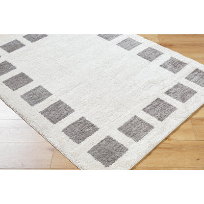 Surya Fossay Shag FSG-2316 Light Beige Modern Machinemade Rug