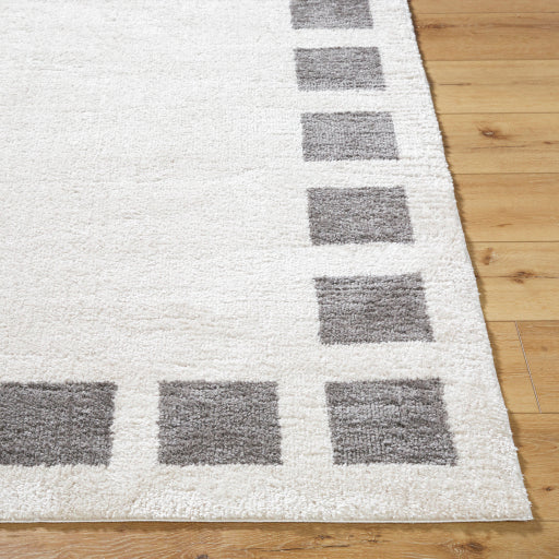 Surya Fossay Shag FSG-2316 Light Beige Modern Machinemade Rug