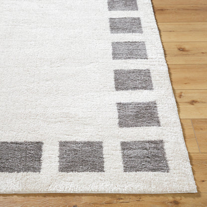 Surya Fossay Shag FSG-2316 Light Beige Modern Machinemade Rug