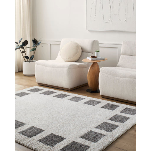 Surya Fossay Shag FSG-2316 Light Beige Modern Machinemade Rug