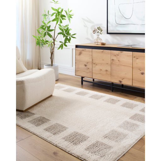 Surya Fossay Shag FSG-2317 Light Beige Modern Machinemade Rug