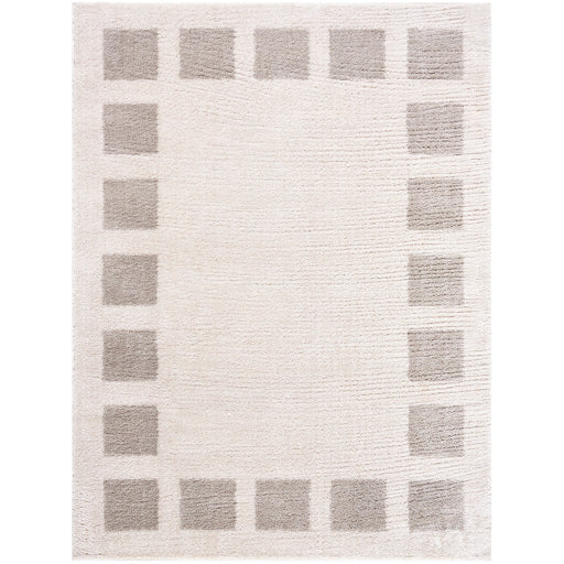 Surya Fossay Shag FSG-2317 Light Beige Modern Machinemade Rug