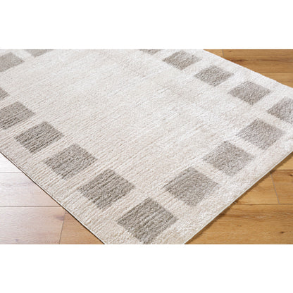 Surya Fossay Shag FSG-2317 Light Beige Modern Machinemade Rug