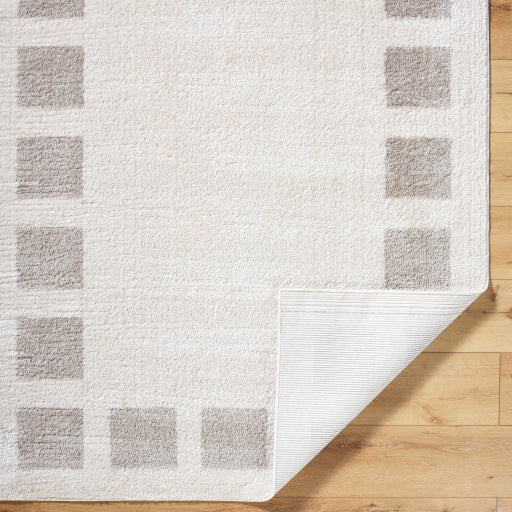 Surya Fossay Shag FSG-2317 Light Beige Modern Machinemade Rug