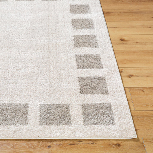 Surya Fossay Shag FSG-2317 Light Beige Modern Machinemade Rug