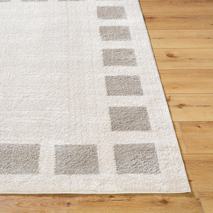 Surya Fossay Shag FSG-2317 Light Beige Modern Machinemade Rug