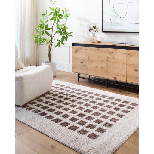 Surya Fossay Shag FSG-2318 Light Beige Modern Machinemade Rug