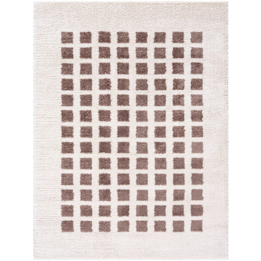 Surya Fossay Shag FSG-2318 Light Beige Modern Machinemade Rug