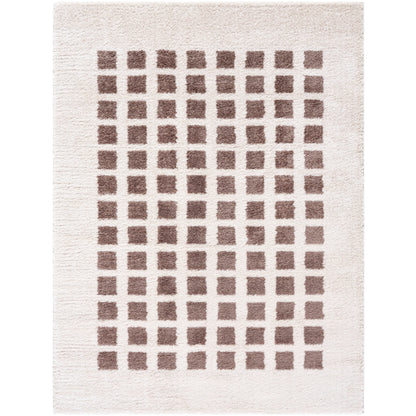 Surya Fossay Shag FSG-2318 Light Beige Modern Machinemade Rug