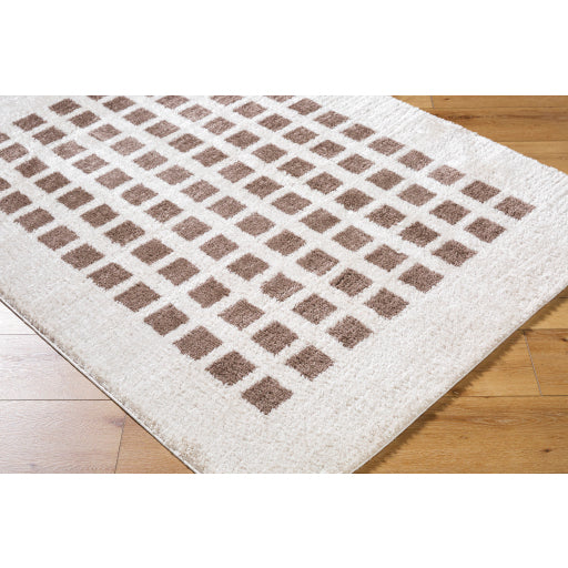 Surya Fossay Shag FSG-2318 Light Beige Modern Machinemade Rug