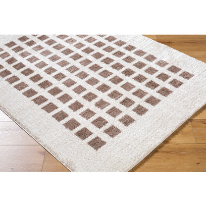 Surya Fossay Shag FSG-2318 Light Beige Modern Machinemade Rug