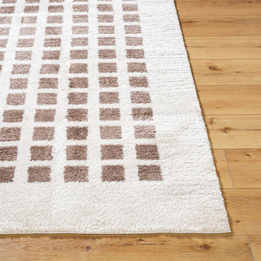 Surya Fossay Shag FSG-2318 Light Beige Modern Machinemade Rug
