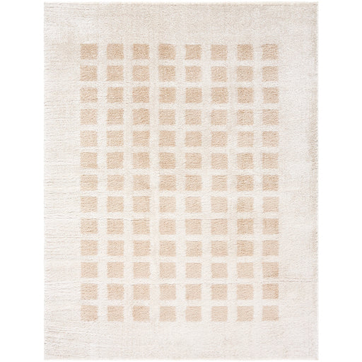 Surya Fossay Shag FSG-2319 Light Beige Modern Machinemade Rug