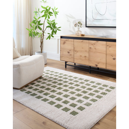 Surya Fossay Shag FSG-2320 Light Beige Modern Machinemade Rug