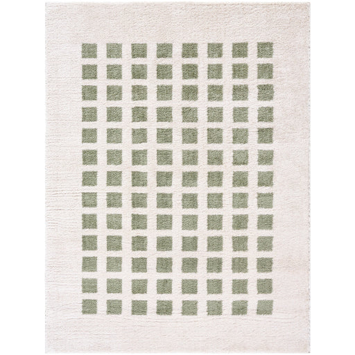 Surya Fossay Shag FSG-2320 Light Beige Modern Machinemade Rug