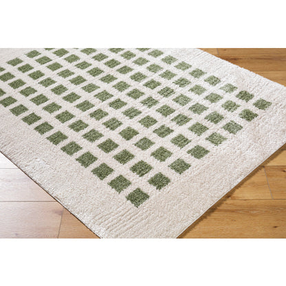 Surya Fossay Shag FSG-2320 Light Beige Modern Machinemade Rug