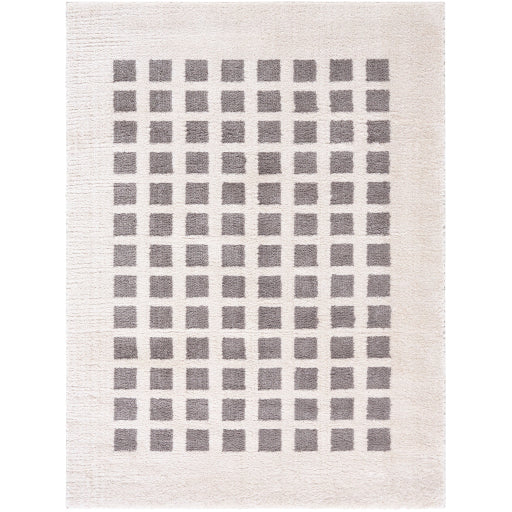 Surya Fossay Shag FSG-2321 Light Beige Modern Machinemade Rug