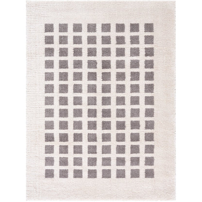 Surya Fossay Shag FSG-2321 Light Beige Modern Machinemade Rug