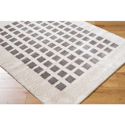Surya Fossay Shag FSG-2321 Light Beige Modern Machinemade Rug