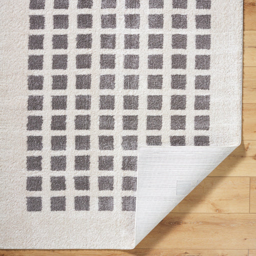 Surya Fossay Shag FSG-2321 Light Beige Modern Machinemade Rug