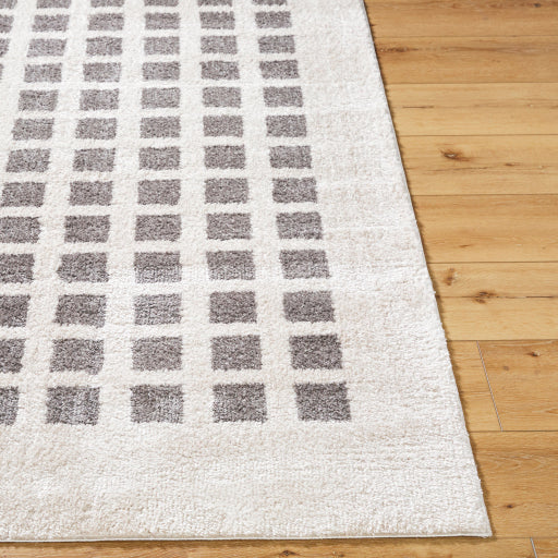 Surya Fossay Shag FSG-2321 Light Beige Modern Machinemade Rug