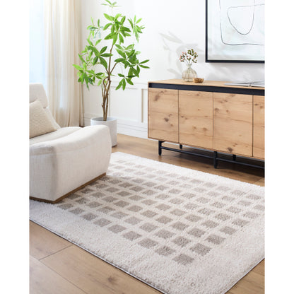 Surya Fossay Shag FSG-2322 Light Beige Modern Machinemade Rug