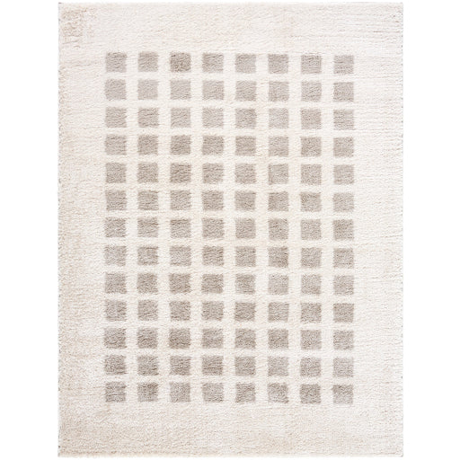Surya Fossay Shag FSG-2322 Light Beige Modern Machinemade Rug