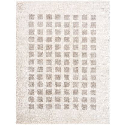 Surya Fossay Shag FSG-2322 Light Beige Modern Machinemade Rug