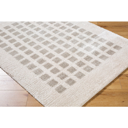 Surya Fossay Shag FSG-2322 Light Beige Modern Machinemade Rug