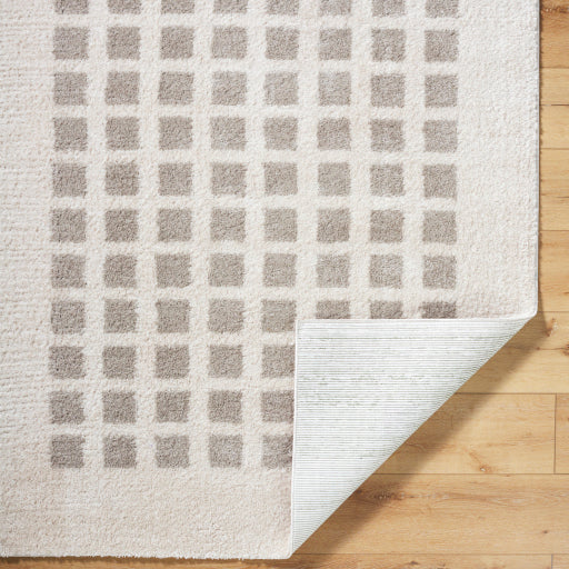 Surya Fossay Shag FSG-2322 Light Beige Modern Machinemade Rug