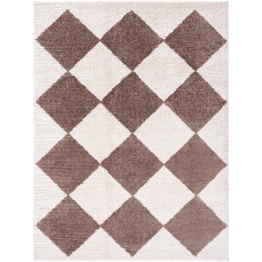 Surya Fossay Shag FSG-2323 Light Beige Modern Machinemade Rug
