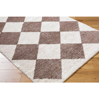 Surya Fossay Shag FSG-2323 Light Beige Modern Machinemade Rug