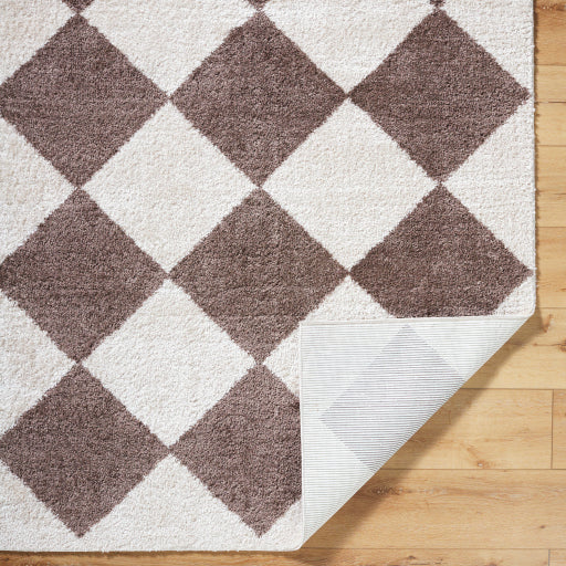 Surya Fossay Shag FSG-2323 Light Beige Modern Machinemade Rug