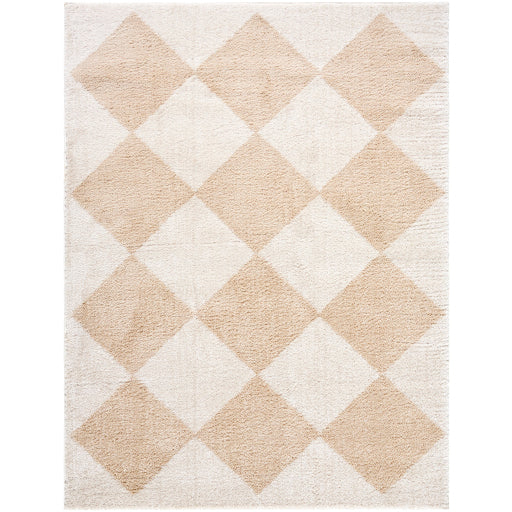 Surya Fossay Shag FSG-2324 Light Beige Modern Machinemade Rug