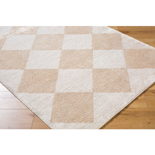 Surya Fossay Shag FSG-2324 Light Beige Modern Machinemade Rug