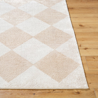 Surya Fossay Shag FSG-2324 Light Beige Modern Machinemade Rug