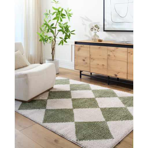 Surya Fossay Shag FSG-2325 Light Beige Modern Machinemade Rug