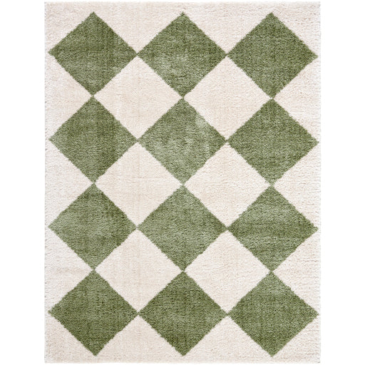 Surya Fossay Shag FSG-2325 Light Beige Modern Machinemade Rug