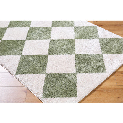 Surya Fossay Shag FSG-2325 Light Beige Modern Machinemade Rug