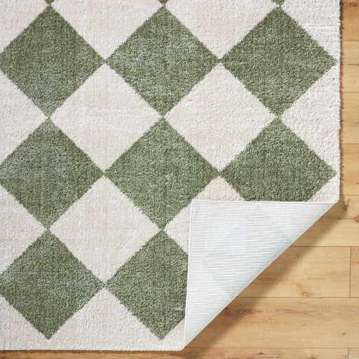 Surya Fossay Shag FSG-2325 Light Beige Modern Machinemade Rug