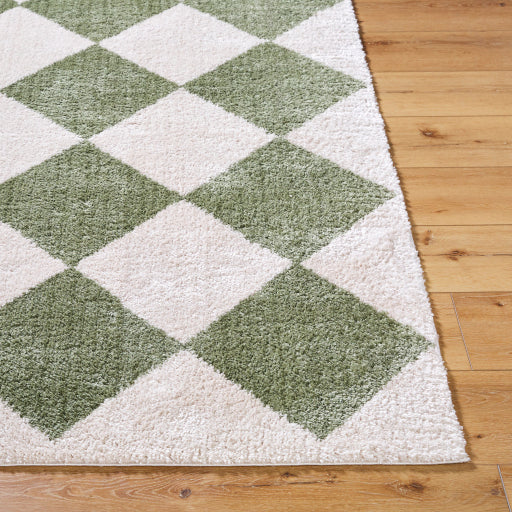 Surya Fossay Shag FSG-2325 Light Beige Modern Machinemade Rug