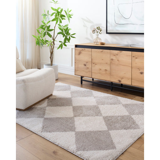 Surya Fossay Shag FSG-2327 Light Beige Modern Machinemade Rug