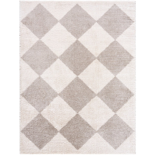 Surya Fossay Shag FSG-2327 Light Beige Modern Machinemade Rug