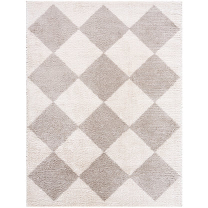 Surya Fossay Shag FSG-2327 Light Beige Modern Machinemade Rug