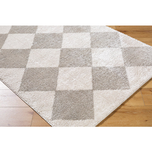 Surya Fossay Shag FSG-2327 Light Beige Modern Machinemade Rug